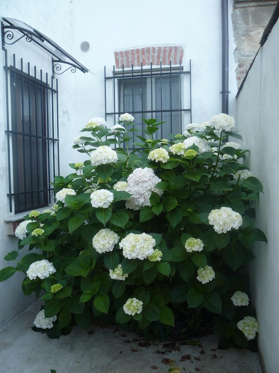 L'Adele Bed & Breakfast Occimiano ภายนอก รูปภาพ