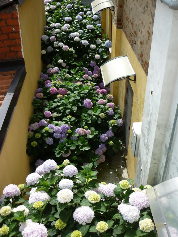 L'Adele Bed & Breakfast Occimiano ภายนอก รูปภาพ