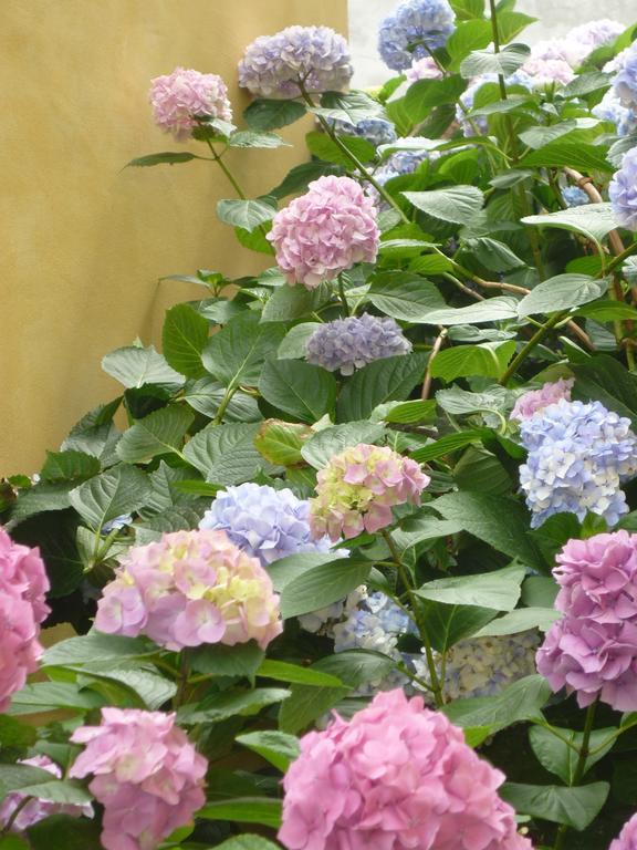 L'Adele Bed & Breakfast Occimiano ภายนอก รูปภาพ